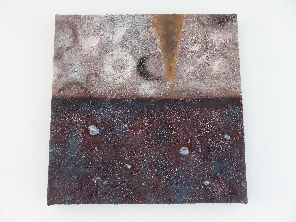Modern schilderij op doek met schelpen - 20e eeuw, Ophalen of Verzenden