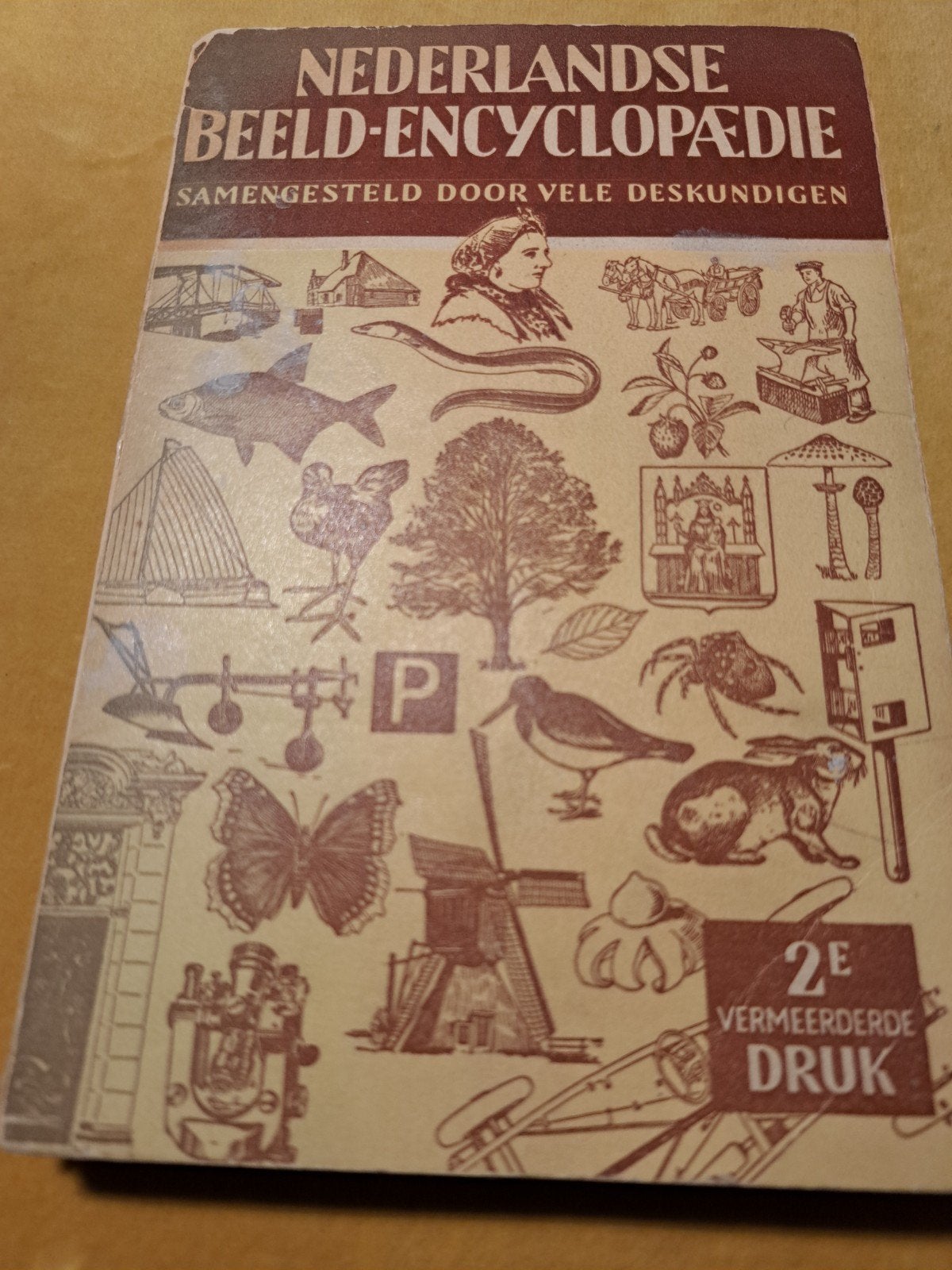 Nederlandse Beeld-Encyclopaedie - 2e vermeerderde druk 1955, Boeken, Gelezen, Ophalen of Verzenden, Los deel, Chr. Stapelkamp