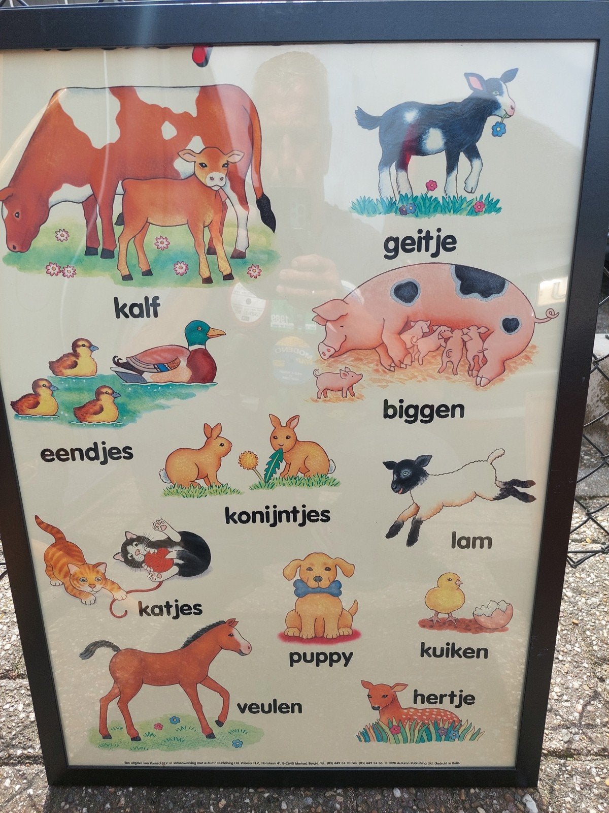Vintage educatieve poster: Boerderijdieren en hun jongen, Ophalen