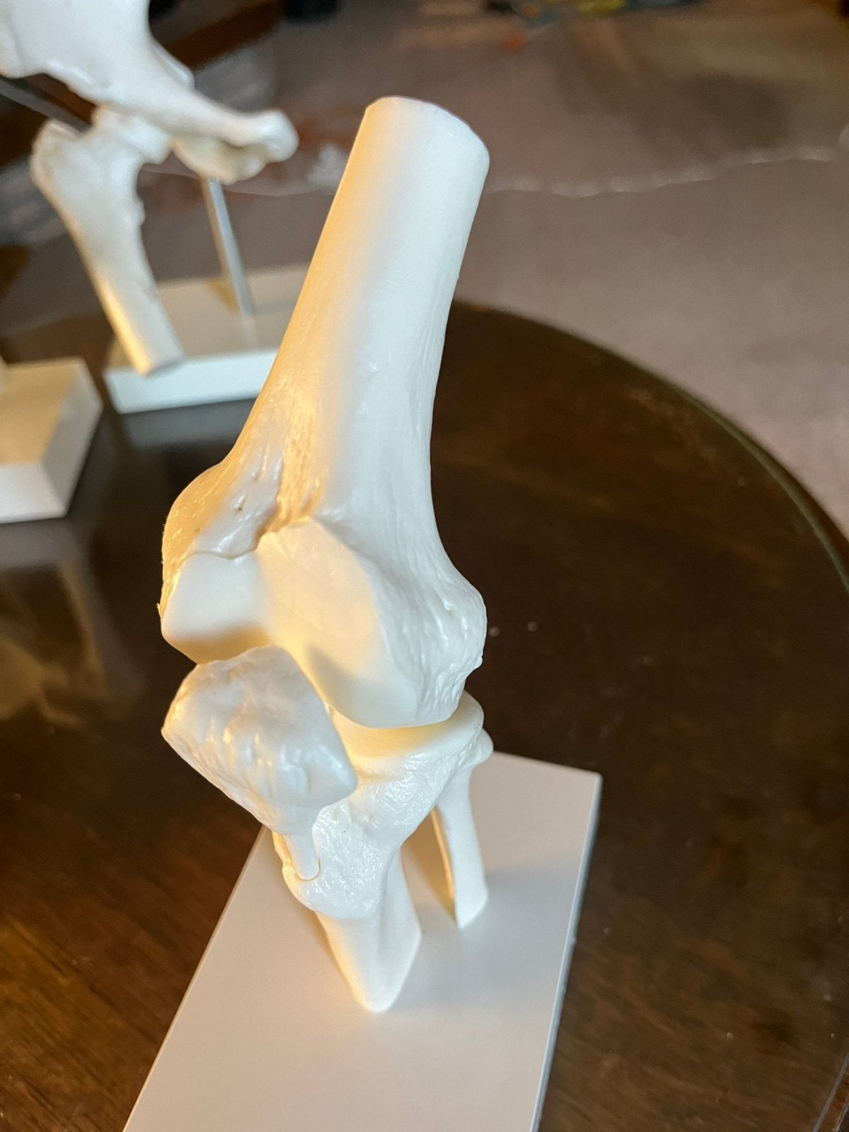 Anatomische Modellen Knie Schouder Heup, Ophalen, Zo goed als nieuw, Mens