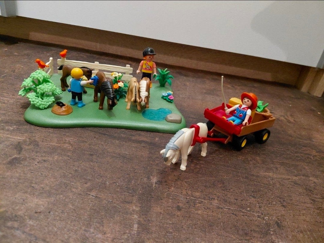 Playmobil Ponyweide met hooiwagen 5457, Complete set, Ophalen of Verzenden, Zo goed als nieuw, Country