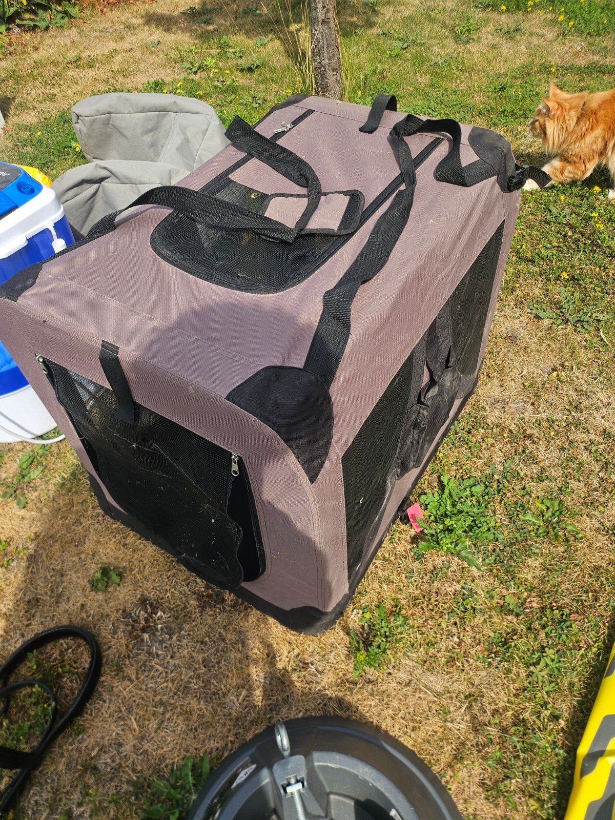 opvouwbare bench voor kleine hond, Dieren en Toebehoren, Ophalen, Gebruikt