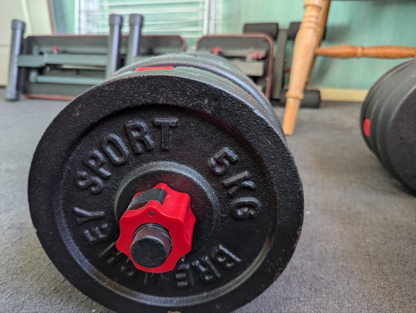 4 dumbells, Ophalen, Dumbbell