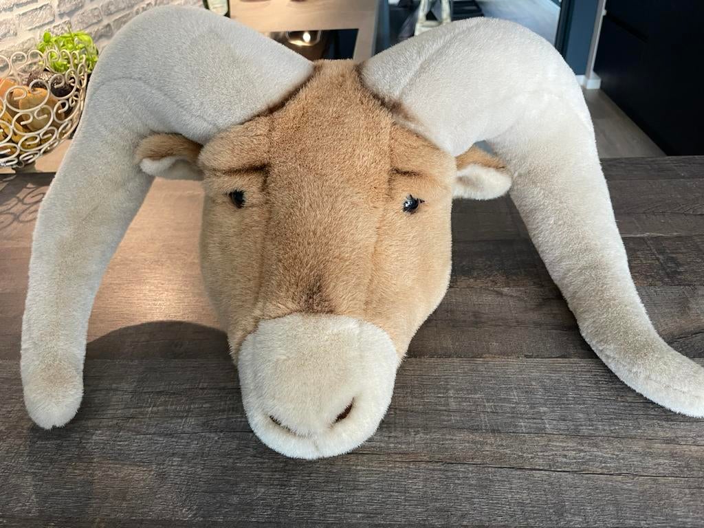 Grote dierenkop voor aan de muur, Ophalen, Zo goed als nieuw, Overige typen