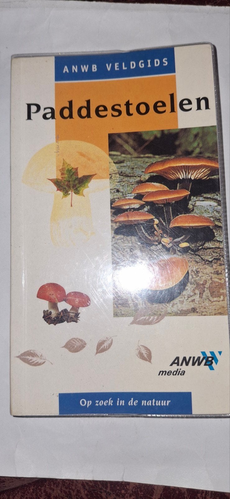 ANWB Veldgids Paddenstoelen - Op zoek in de natuur, Ophalen of Verzenden, Zo goed als nieuw, Natuur algemeen, Onbekend
