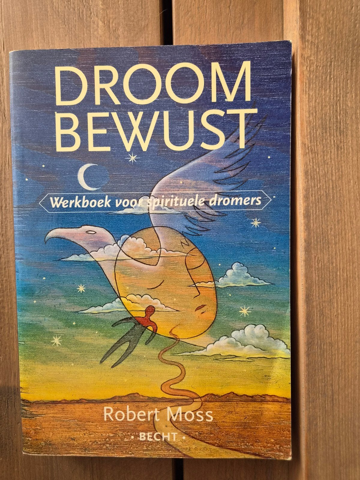 Droom Bewust: Werkboek voor spirituele dromers - Robert Moss, Spiritualiteit algemeen, Robert Moss, Ophalen of Verzenden, Zo goed als nieuw