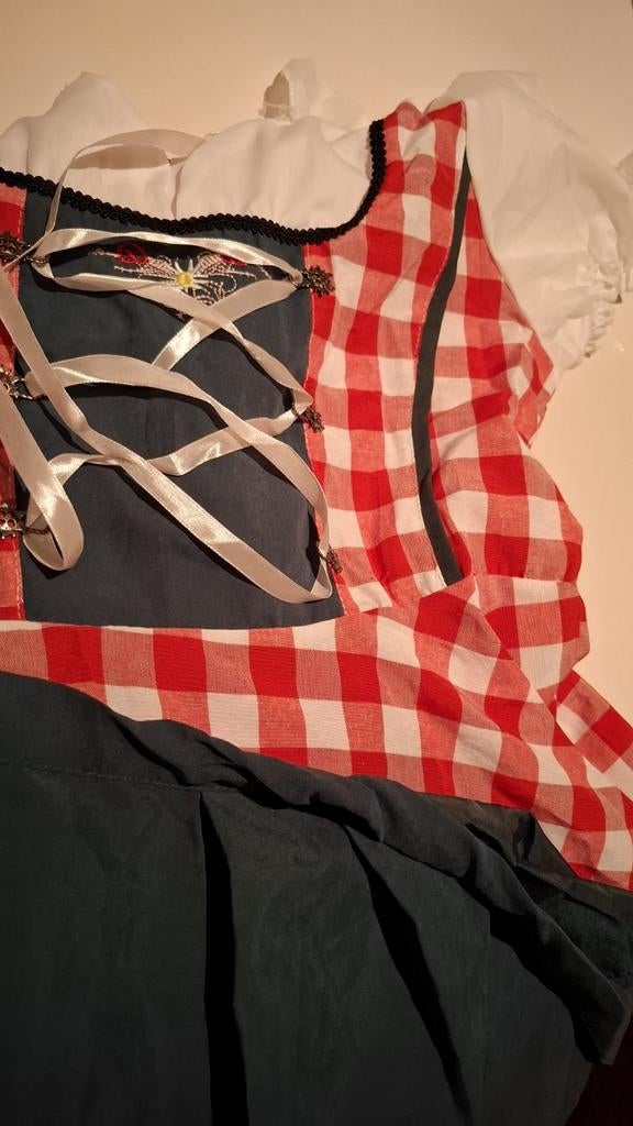 Nieuwe Dirndl Jurk - Perfect voor Oktoberfest!, Kleding | Dames, Carnavalskleding en Feestkleding, Maat 38/40 (M), Nieuw, Ophalen of Verzenden