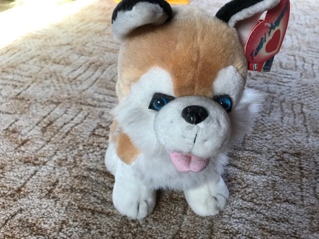 Knuffel huskey hond lichtbruin nieuw 30 cm hoog en breed, Ophalen of Verzenden, Zo goed als nieuw, Hond