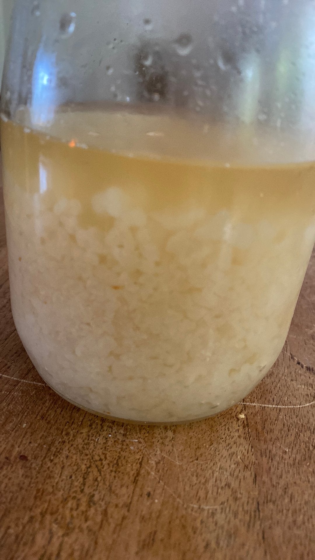 Waterkefir korrels, Ophalen