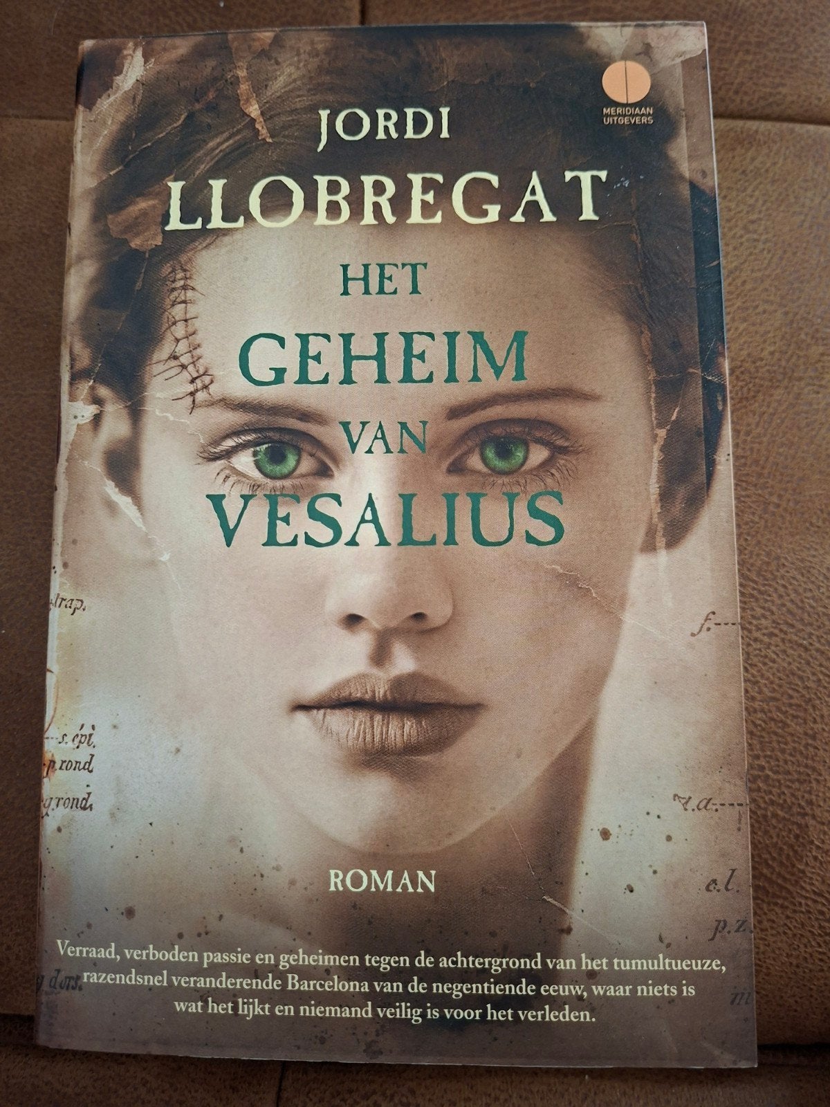 Het Geheim van Vesalius - Jordi Llobregat, Ophalen of Verzenden, Gelezen, Jordi Llobregat, Europa overig