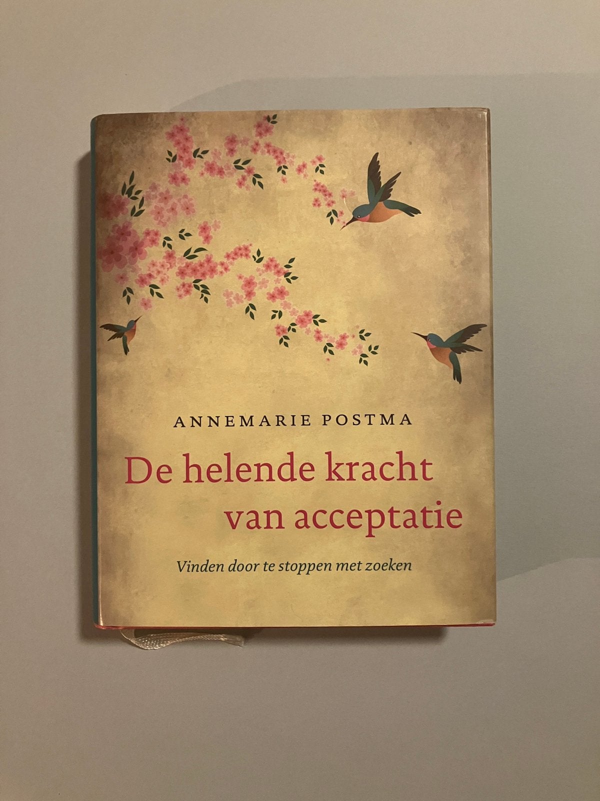 De Helende Kracht van Acceptatie - Annemarie Postma, Ophalen of Verzenden, Zo goed als nieuw, Spiritualiteit algemeen, Achtergrond en Informatie