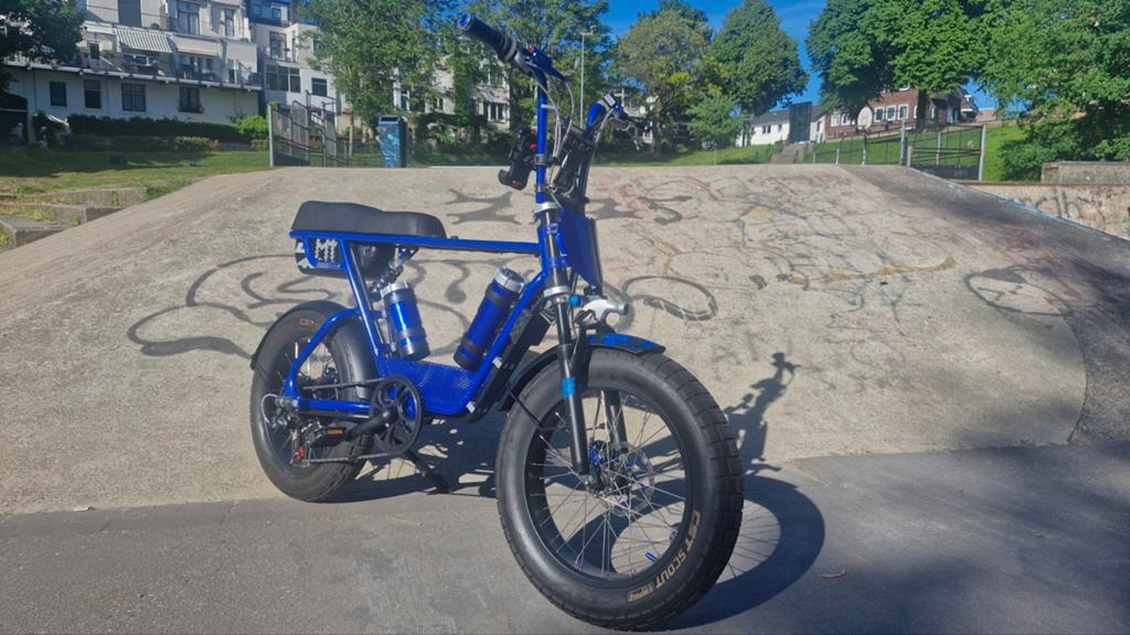 Reparatie & Onderhoud Fatbike, Ebike etc., Snelservice, Fietsreparatie
