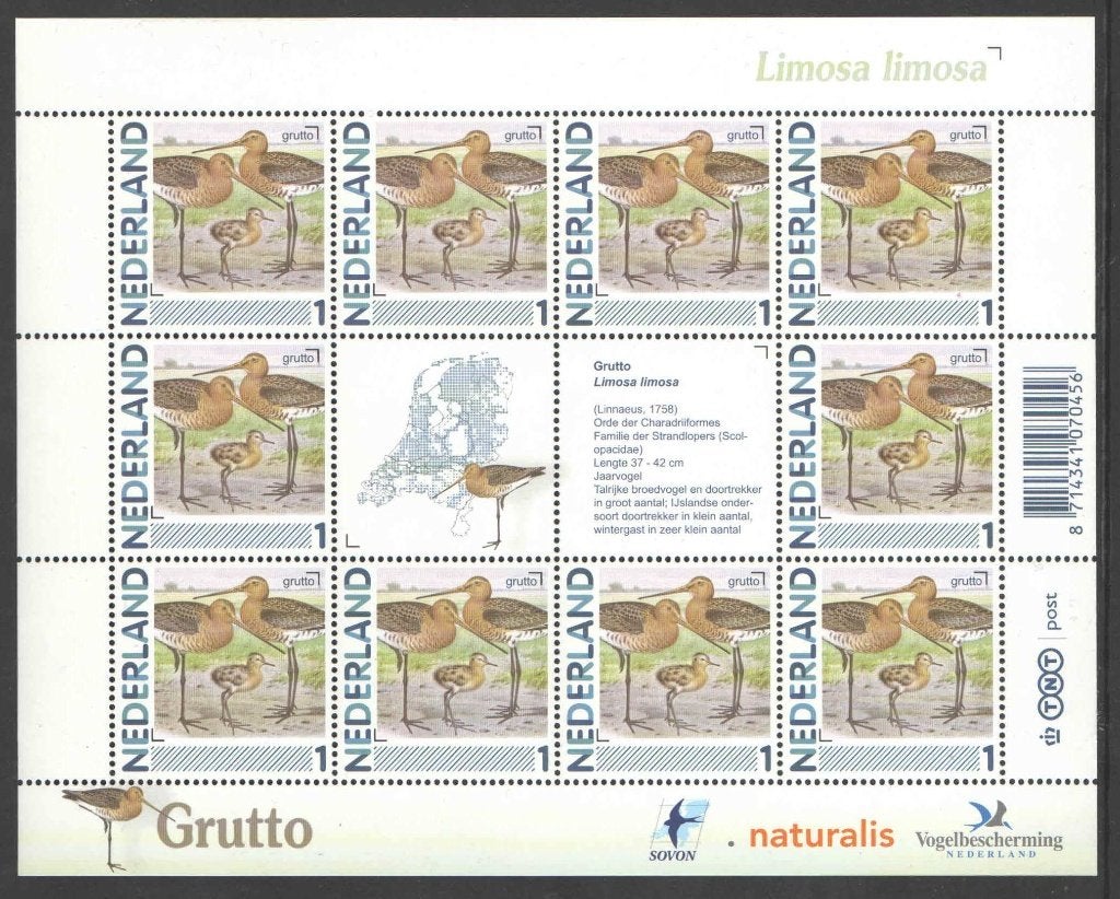 Postzegels Vogels in Nederland: Grutto, Postzegels en Munten, Postzegels | Nederland, Postfris, Na 1940, Ophalen of Verzenden