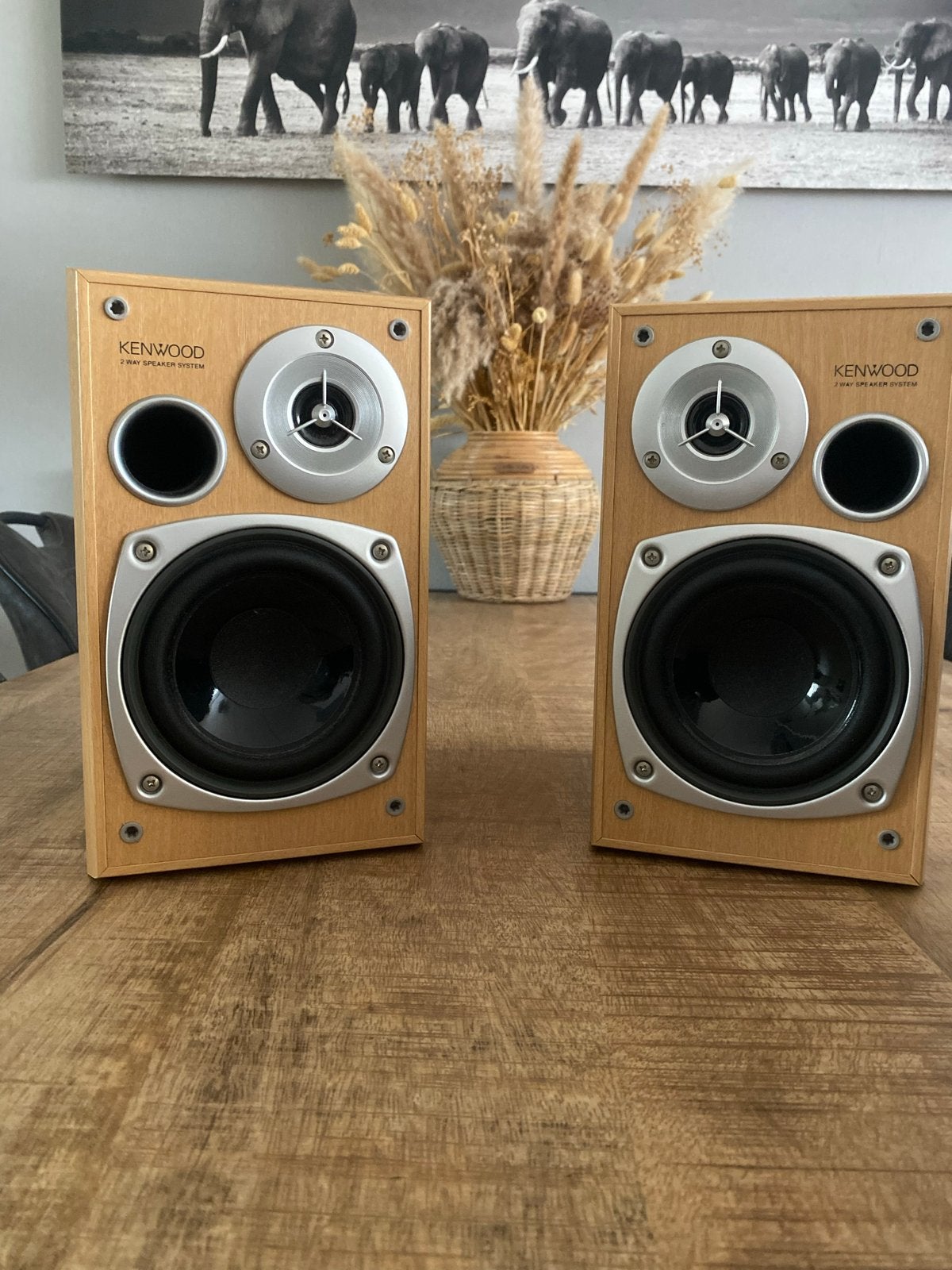 Kenwood LS-M66-S 2-weg speakerset - 50W, Auto diversen, Ophalen, Zo goed als nieuw