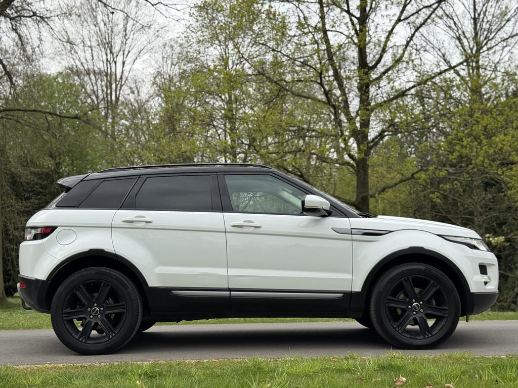 Land Rover Range Rover Evoque 2.2 TD4 4WD Pure (bj 2012), Euro 5, Beige, 150 pk, Wit