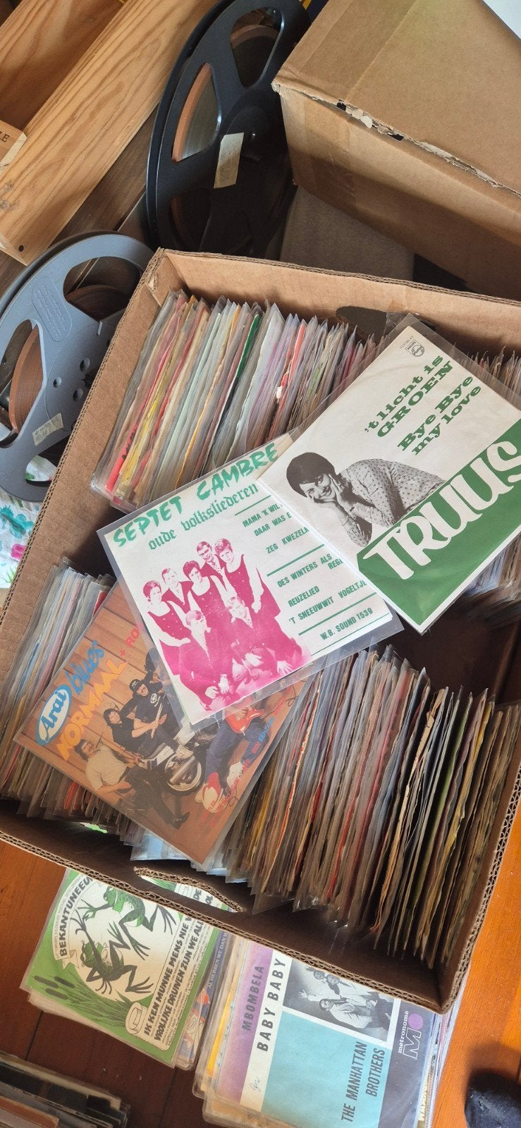 Grote collectie Piratensingles aangeboden, Gebruikt, 7 inch, Ophalen of Verzenden, EP