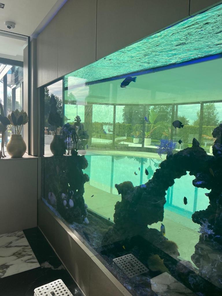 Aquarium, Dieren en Toebehoren, Ophalen, Inclusief slangen, Zo goed als nieuw, Overige typen