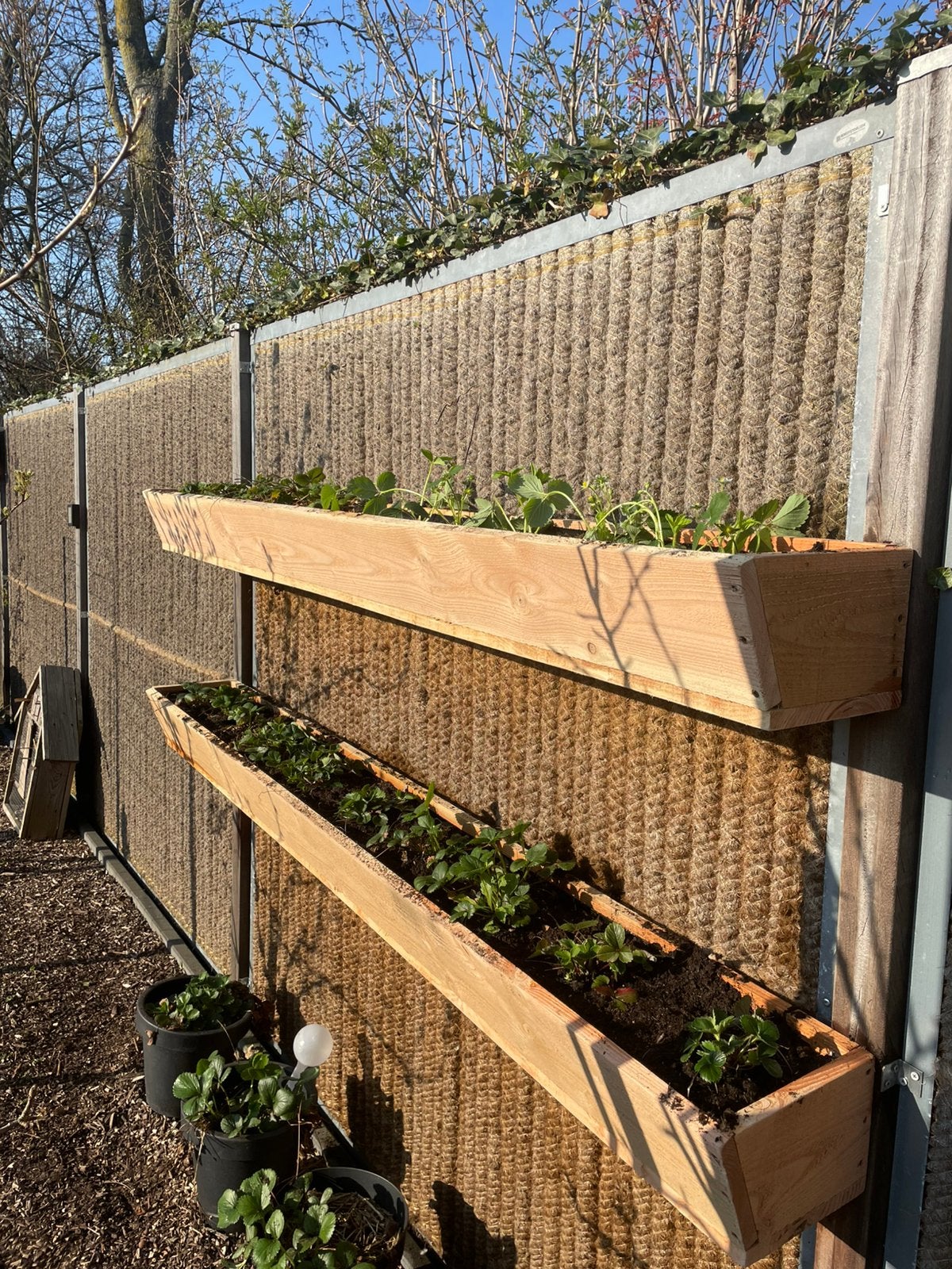 Planten bakken, Ophalen, Zo goed als nieuw, Kweekbak