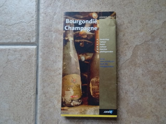 anwb goud reisgids Bourgondie en Champagne, Europa, Ophalen of Verzenden, Zo goed als nieuw, Reisgids of -boek