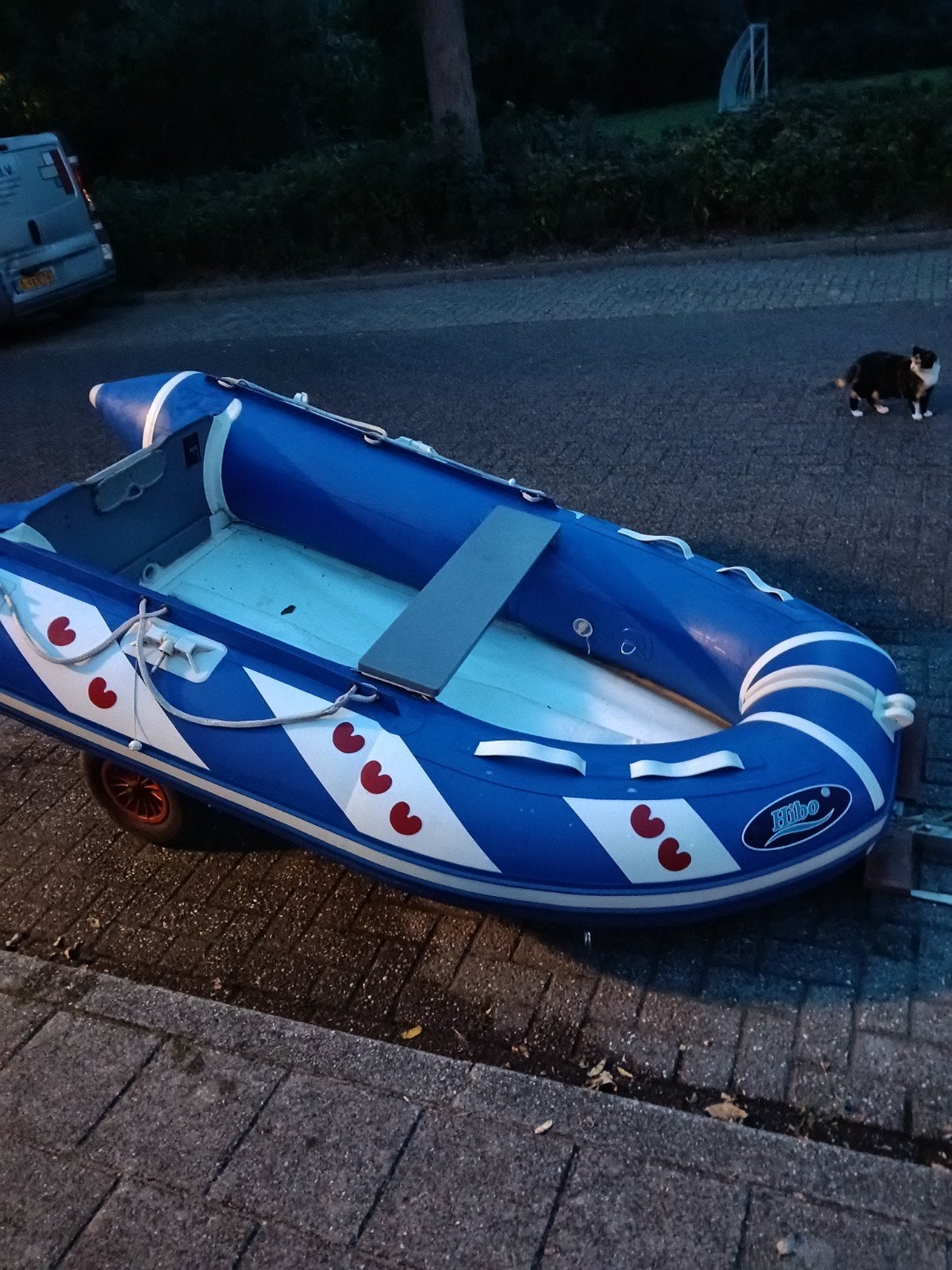 Foto 23 van rubberboot met buitenboordmotor/motor en trailer