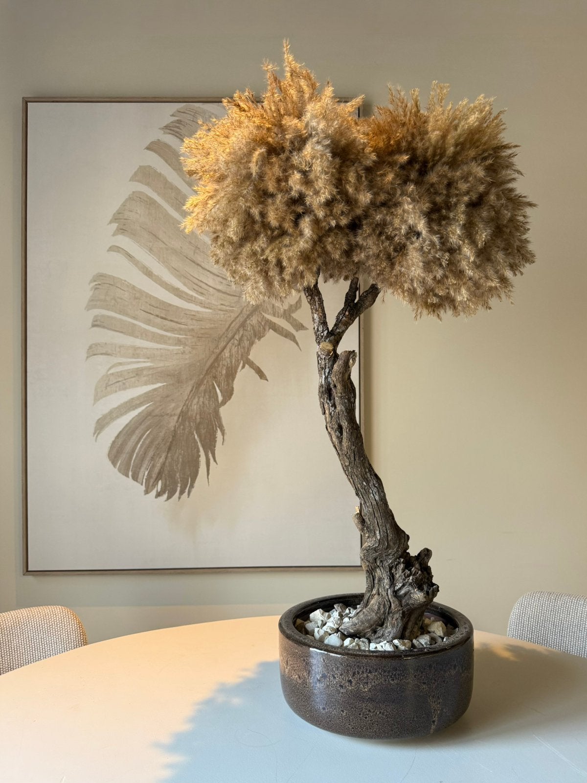 Handgemaakte Bonsai Pampasboom - Inclusief Pot, Ophalen, Nieuw