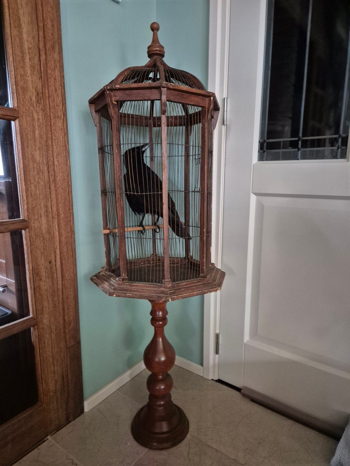 opgezette kraai kooi op sokkel taxidermie, Ophalen, Nieuw, Vogel, Opgezet dier