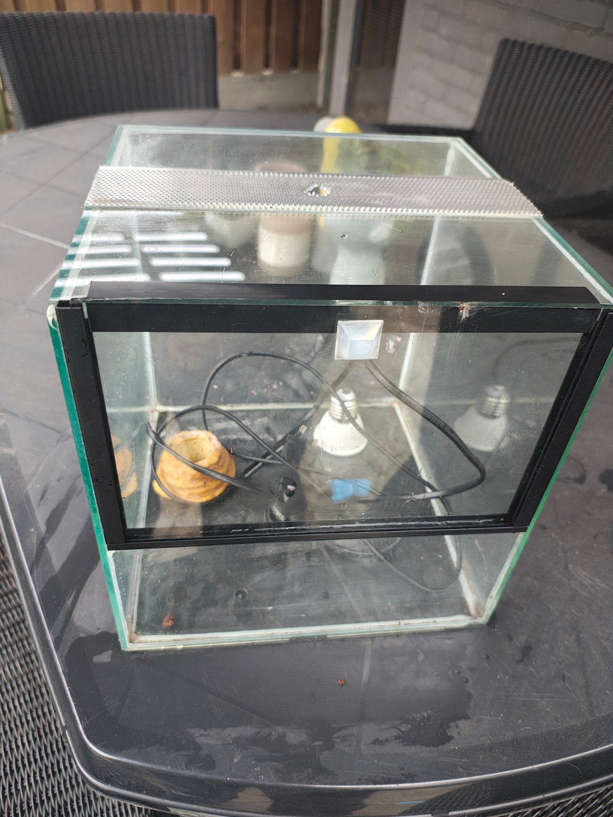 kleine terrarium spinnen/ kikker bak, Dieren en Toebehoren, Reptielen en Amfibieën | Toebehoren, Ophalen of Verzenden