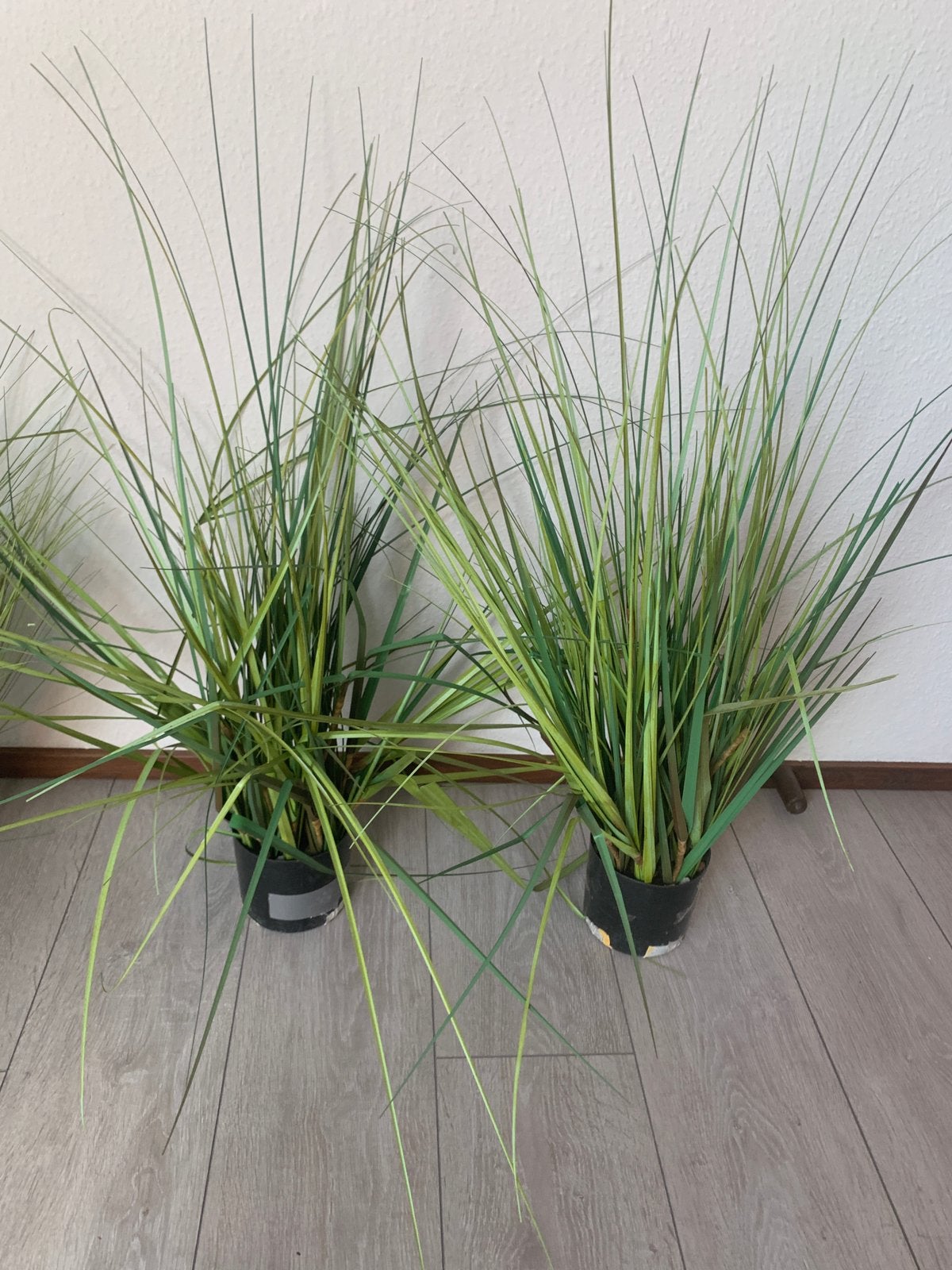 Kunst grassen, Tuin en Terras, Ophalen