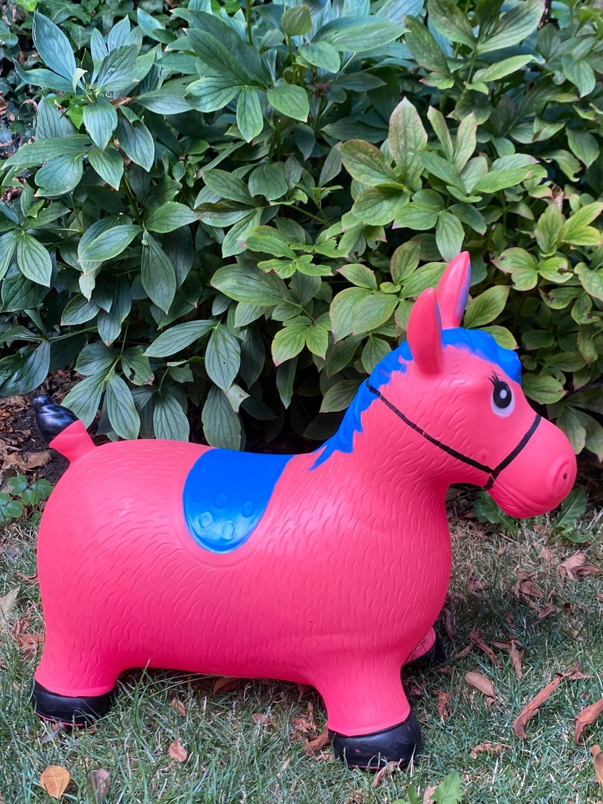 Skippy paard, Ophalen of Verzenden, Gebruikt