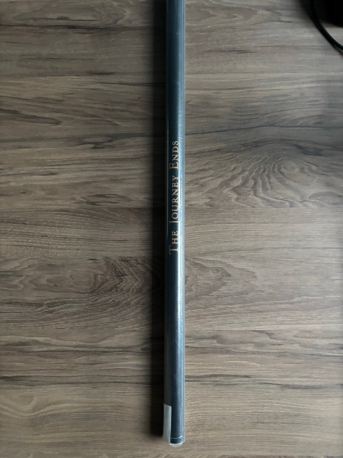 Lord of the Rings: Return of the King Film Poster, Rechthoekig Staand, Ophalen of Verzenden, Zo goed als nieuw, A1 t/m A3