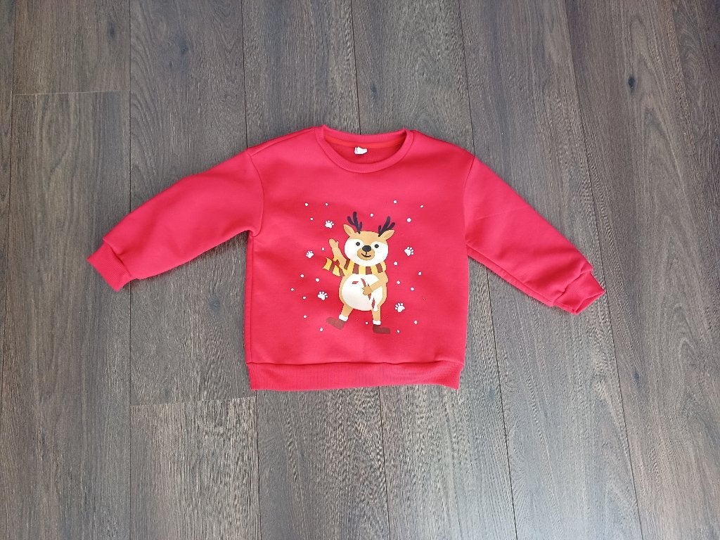 Kersttrui, Ophalen of Verzenden, Zo goed als nieuw, Jongen of Meisje, Trui of Vest