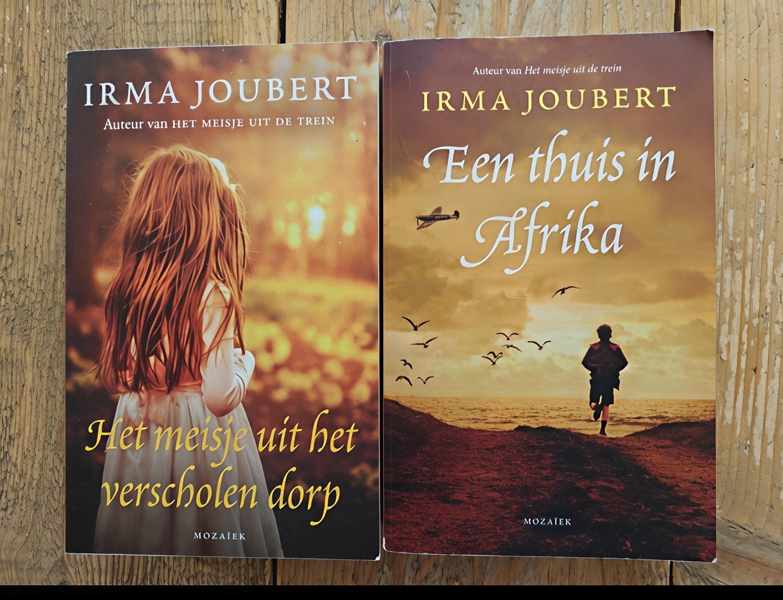 Deel 2 en 3 van de Plötzke Triologie., Boeken, Ophalen of Verzenden, Zo goed als nieuw