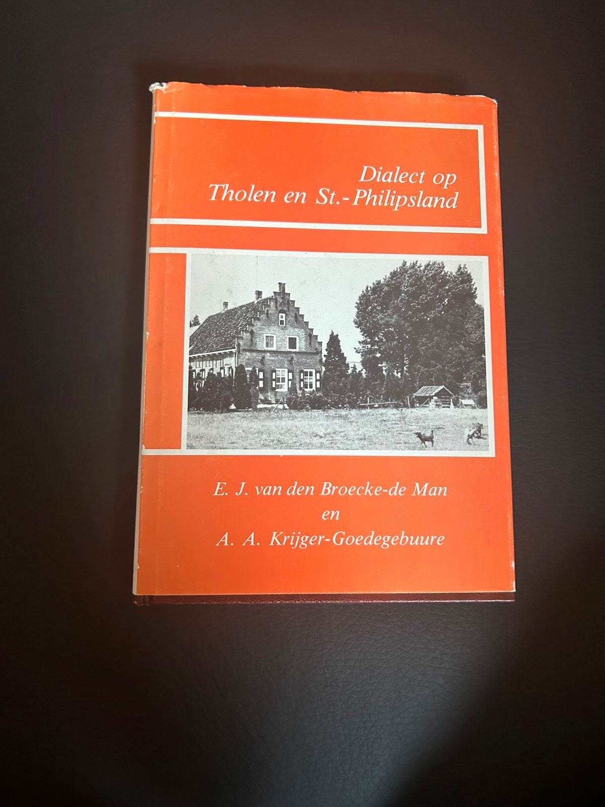 Dialect op Tholen en St.-Philipsland - Boek, Ophalen of Verzenden, Gelezen, Nederland