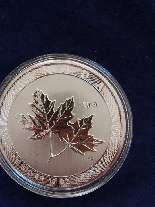 10 oz zilver Maple Leaf 2019, Ophalen of Verzenden, Zilver