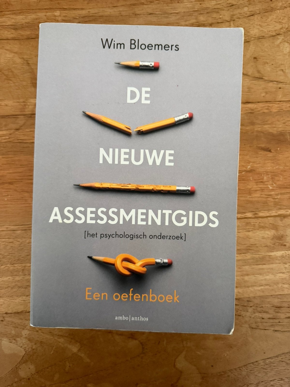 Wim Bloemers - De Nieuwe Assessmentgids, Gelezen, Wim Bloemers, Ophalen of Verzenden, Ontwikkelingspsychologie
