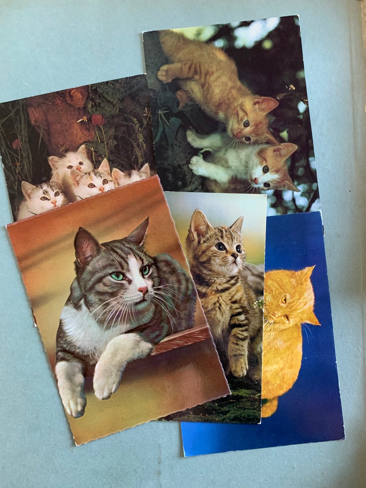 5x Kat, Verzamelen, Ophalen of Verzenden, 1980 tot heden, Ongelopen, Hond of Kat