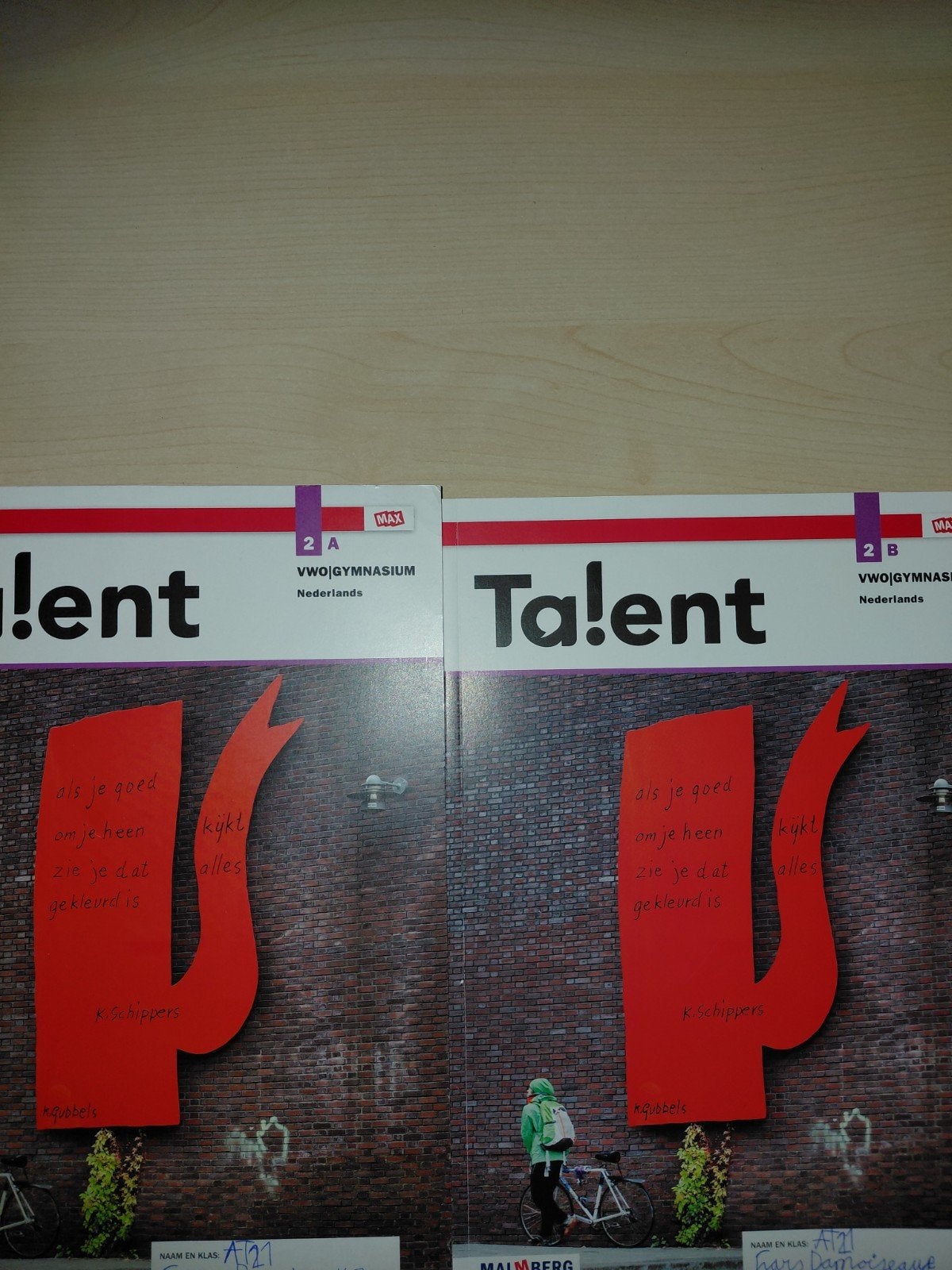 Talent Nederlands VWO jaar 2, Boeken, Ophalen of Verzenden