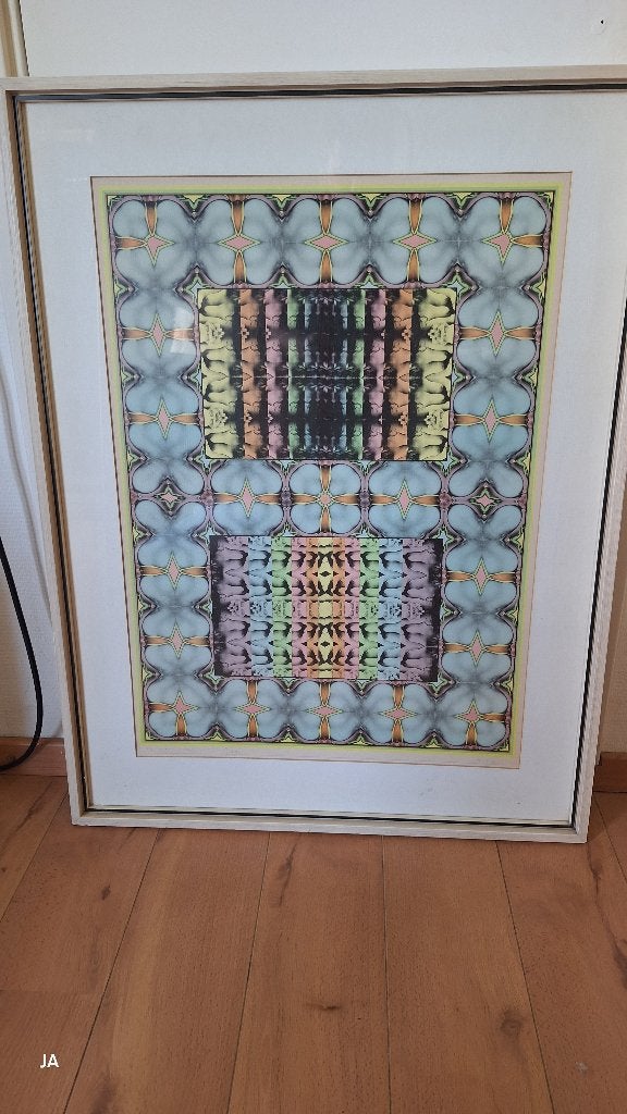 Shinkichi Tajiri Litho My Secet Garden gesigneerd, Antiek en Kunst, Kunst | Litho's en Zeefdrukken, Lithografie, Gelimiteerde oplage