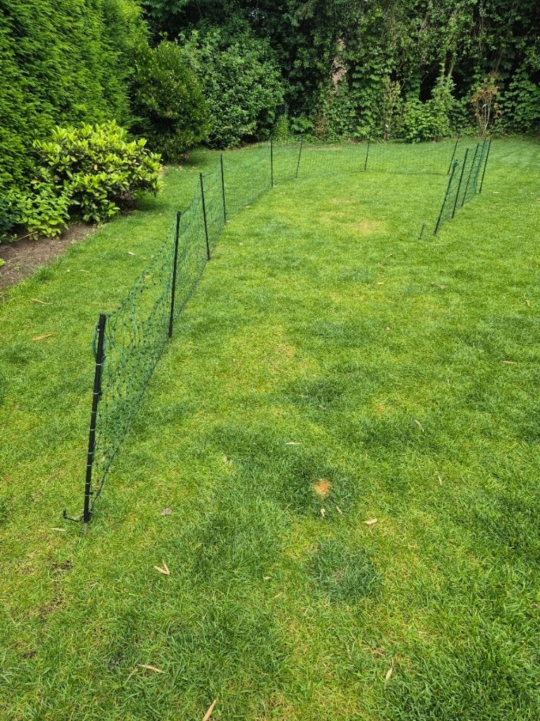 schapennet groen, Ophalen, Gebruikt, 10 tot 20 meter, Overige typen