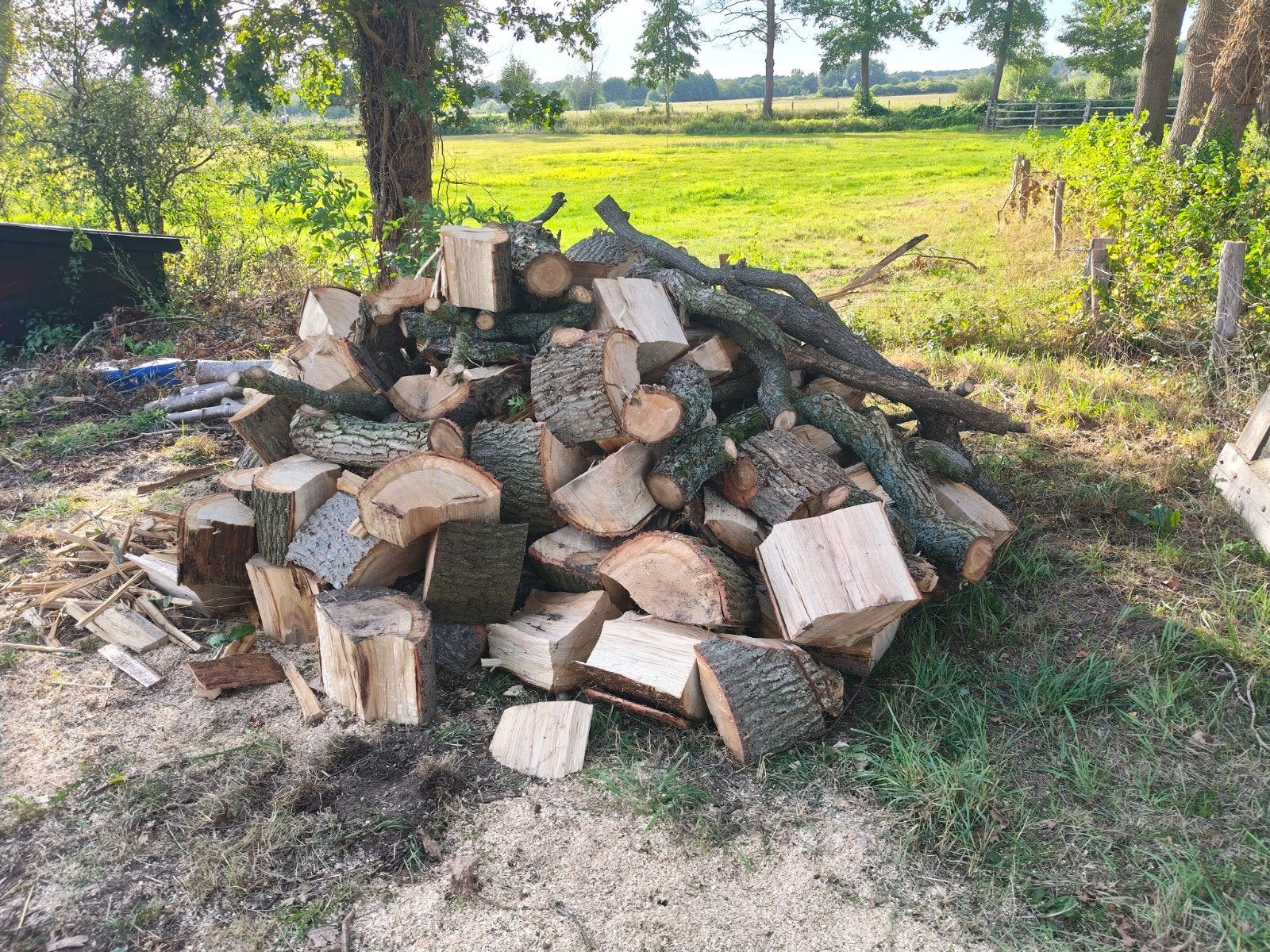 Brandhout Eiken, 3 tot 6 m³, Ophalen, Eikenhout
