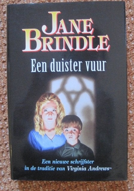 Boek Een duister vuur - Jane Brindle, Boeken, Ophalen of Verzenden, Gelezen