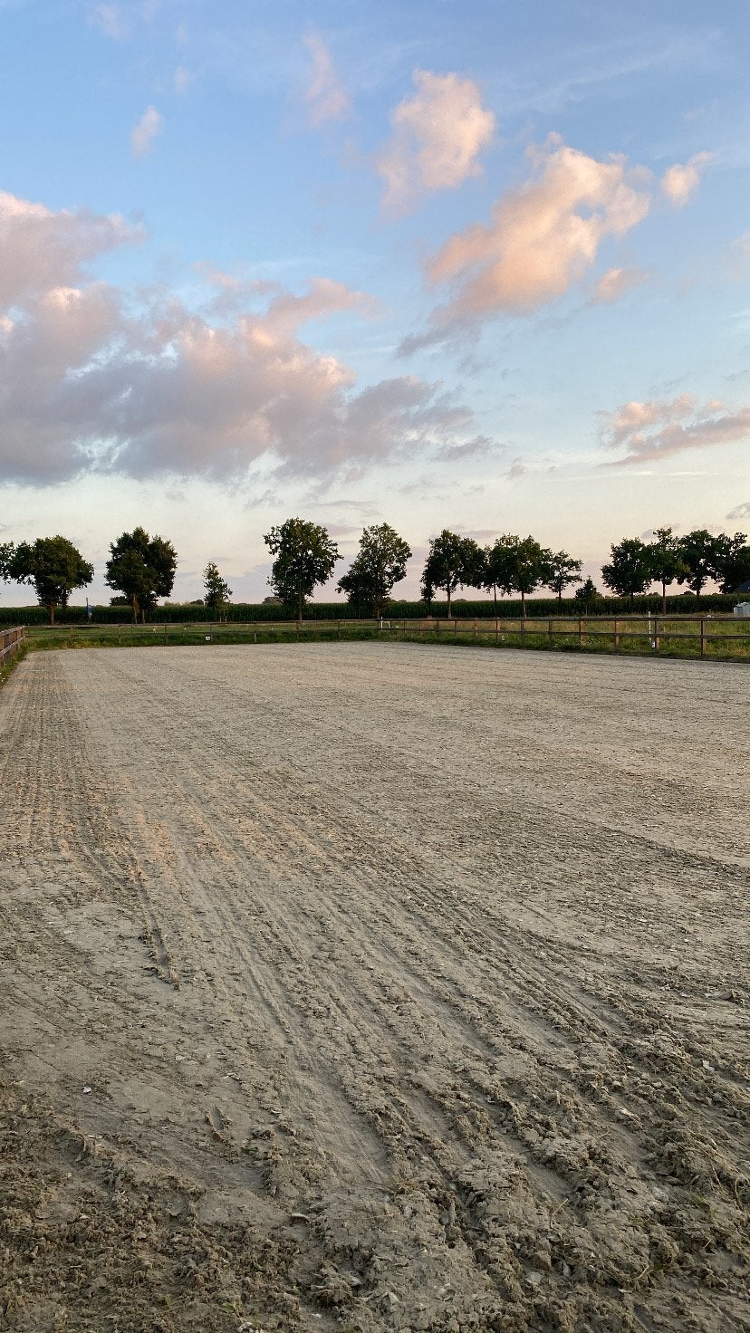 Verhuur 20x60 dressuurbaan, topsportbodem, Ophalen, Zo goed als nieuw, Overige typen