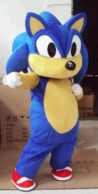 Mascotte Sonic the Hedgehog, Ophalen, Zo goed als nieuw, Versiering