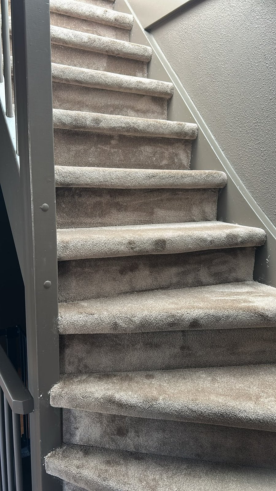 VAKKUNDIGE VLOERENLEGGER – VLOEREN & TRAPPEN, Huis en Inrichting, Ophalen, Nieuw, Tapijt