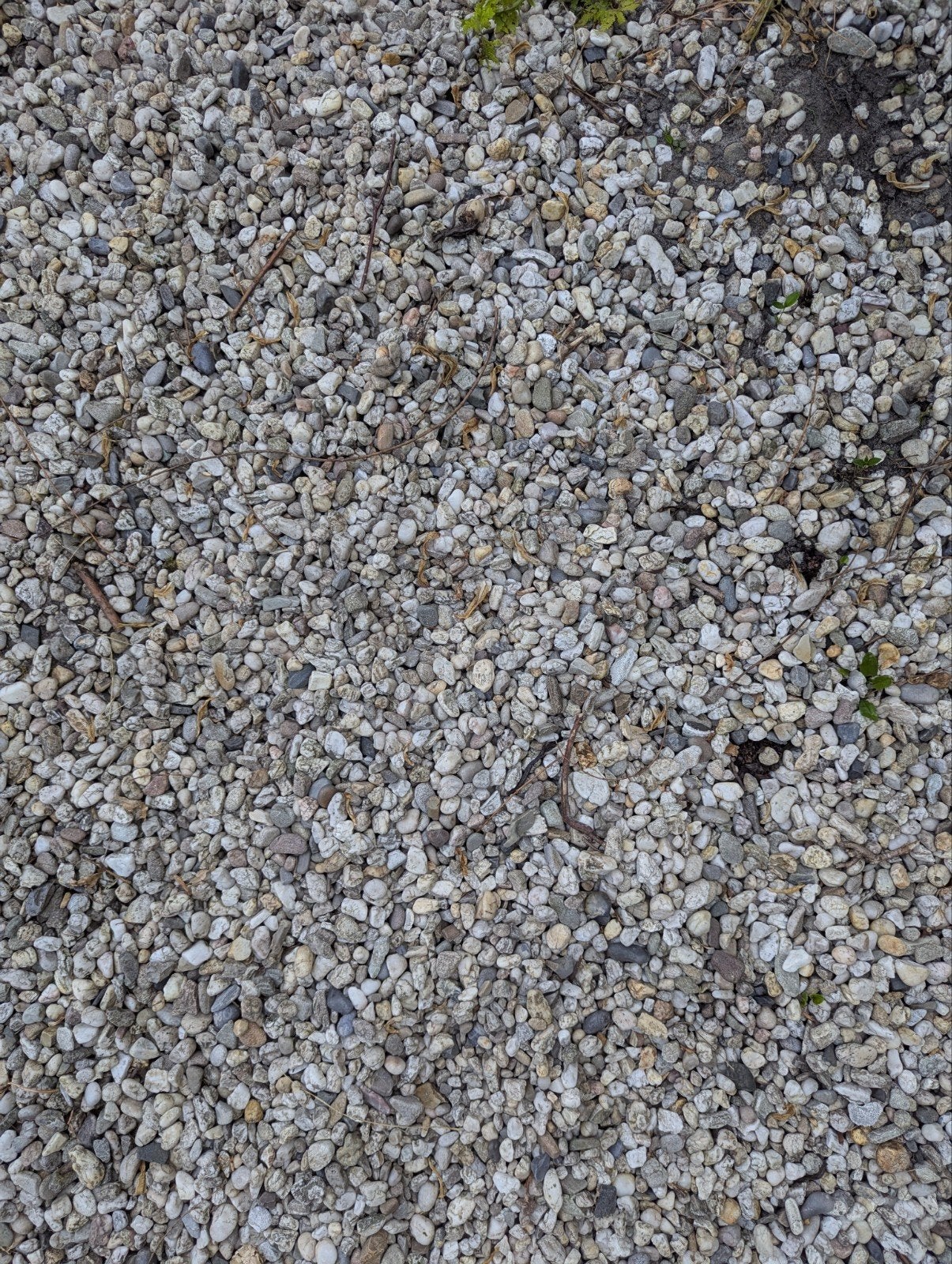 Siergrind voor tuin of oprit - Gebruikt, Tuin en Terras, Grind, Keien en Split, Ophalen, Gebruikt, Grijs, Grind