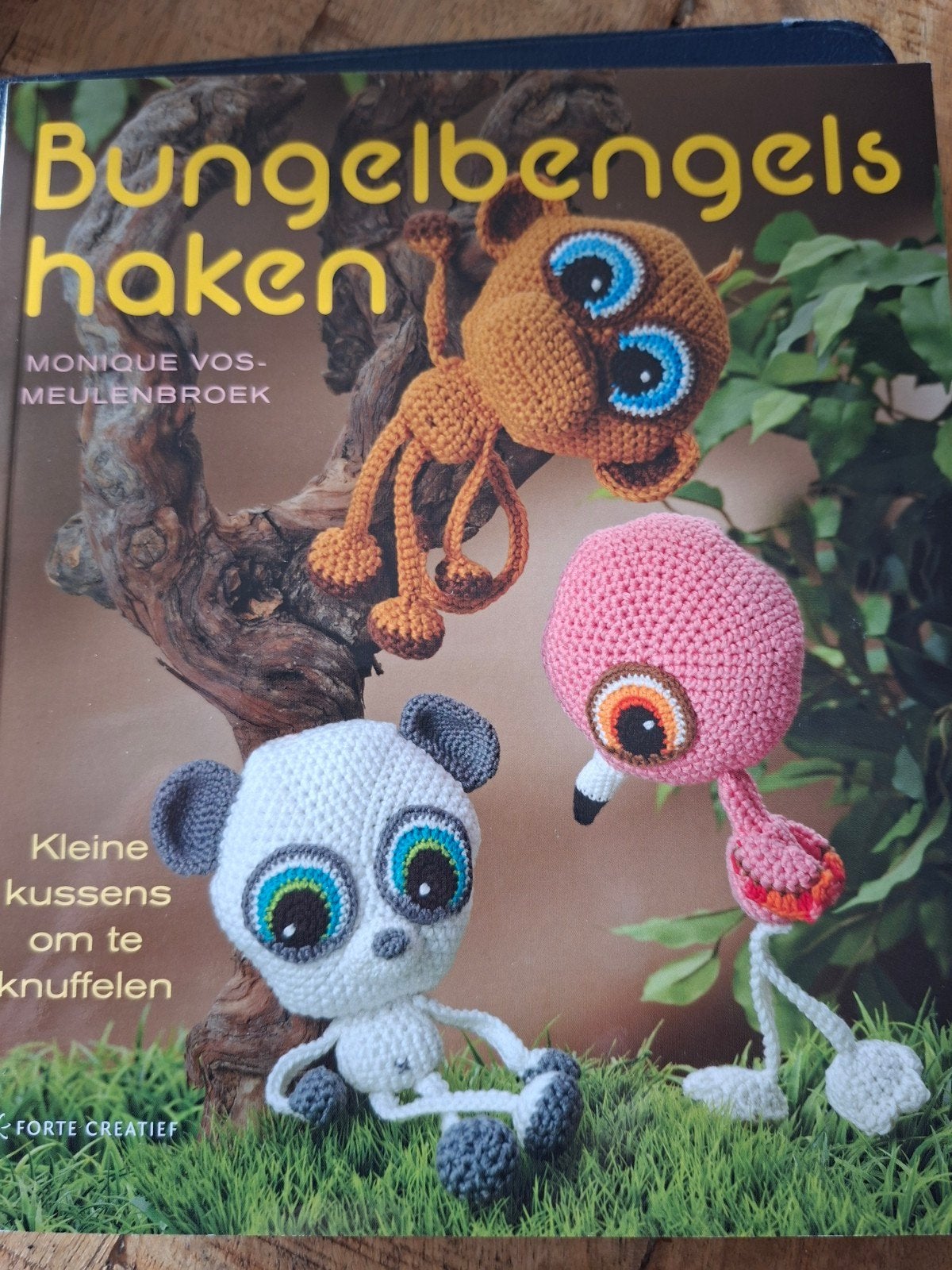 Haakboek: Bungelbengels haken (nieuw), Breien en Haken, Nieuw, Ophalen of Verzenden, Monique Vos-Meulenbroek