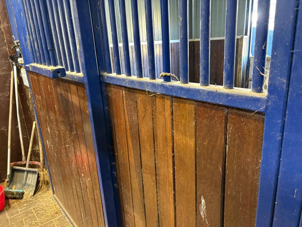 stalwanden, Dieren en Toebehoren, Stalling en Weidegang, Stalling, 2 of 3 paarden of pony's