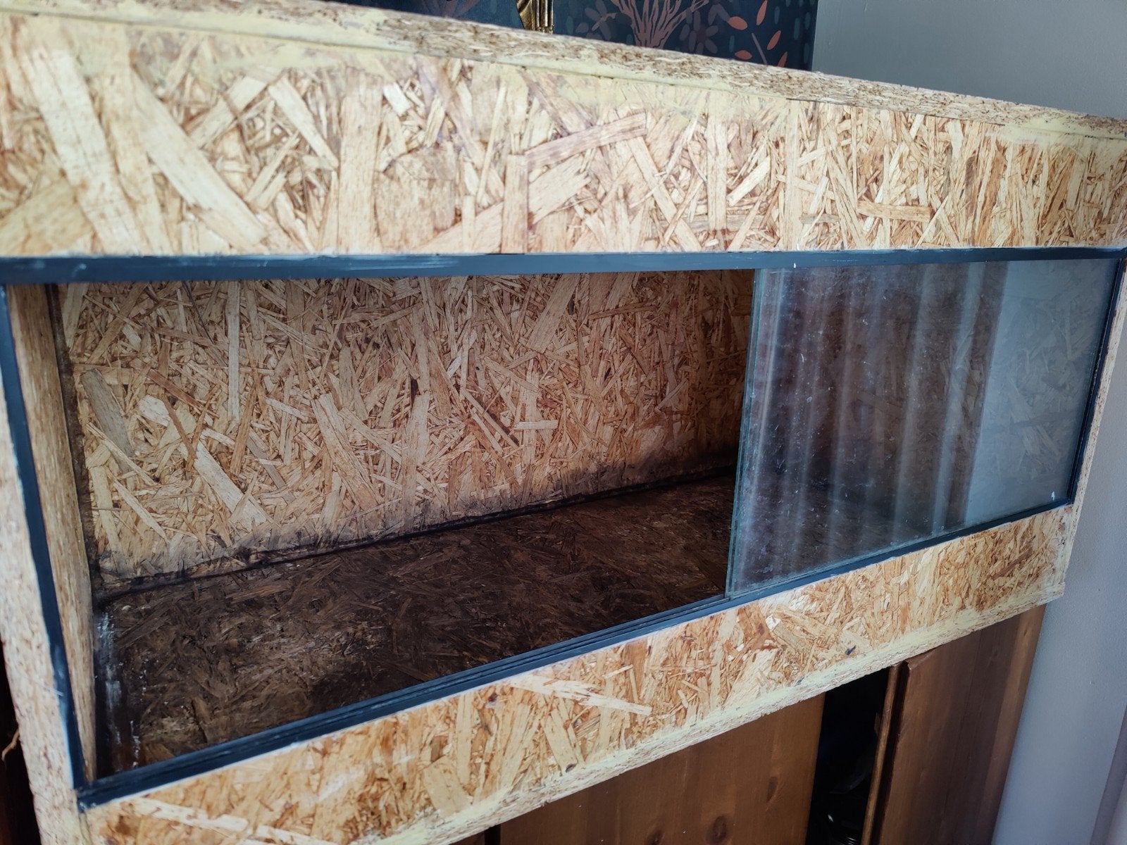 OSB3 houten terrarium 100x53x50, Ophalen, Gebruikt, Terrarium of Paludarium
