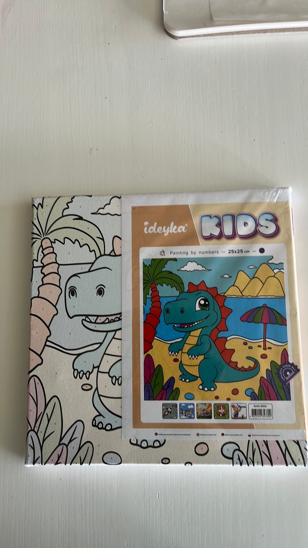 Set schilderen op nummer, Ophalen of Verzenden, Nieuw, Schilderen op nummer