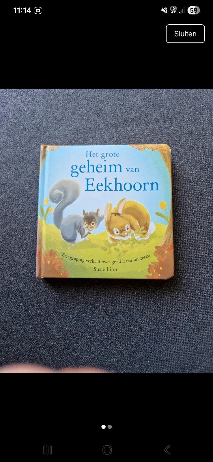 Het grote geheim van Eekhoorn - Susie Linn, Boeken, Kinderboeken | Kleuters, Ophalen of Verzenden